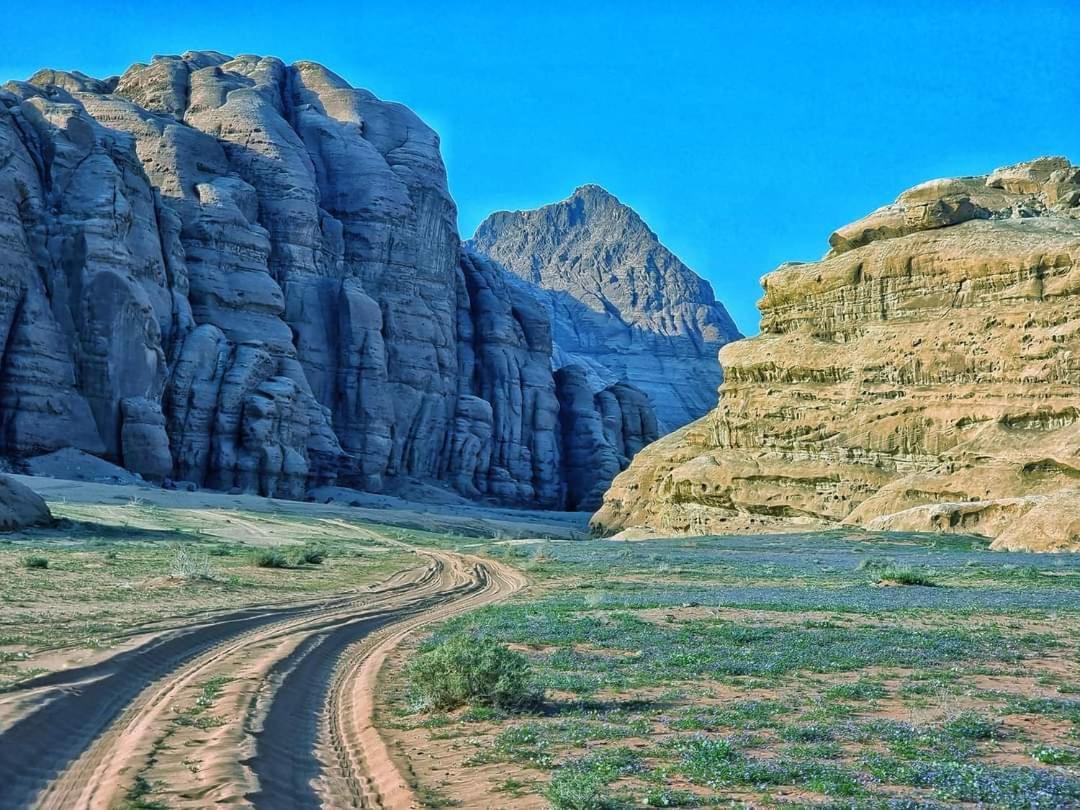 Shaheen Camp Wadi Rum Exterior photo